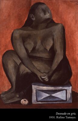 Museo de Arte Moderno 04