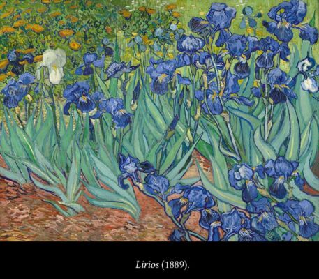 C6 Van Gogh Saint-Rémy 04