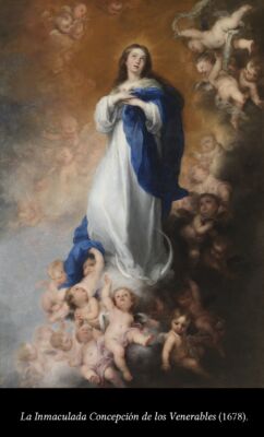 C6 La Inmaculadas de Murillo 06