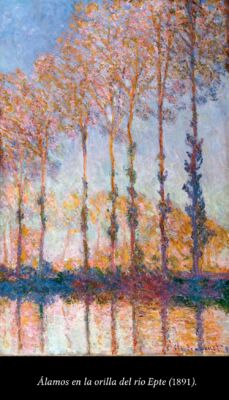 C6 Los álamos de Monet 06