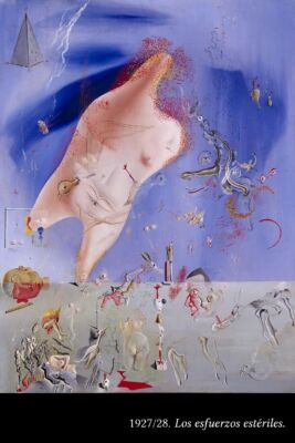 GT Momentos de Dalí 14