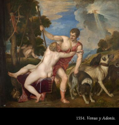 GT Momentos de Tiziano 55