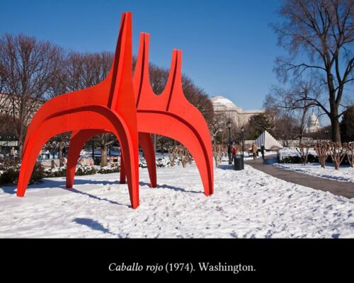 C6 Calder y los stábiles 04