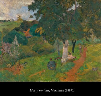 C6 Gauguin en Martinica 06