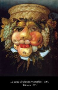 C6 Los reversibles de Arcimboldo 06