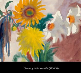 C6 Nolde flores 00