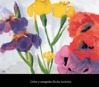 C6 Nolde flores 04