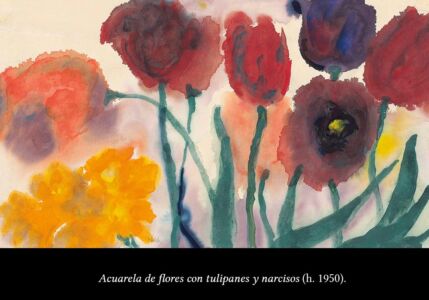 C6 Nolde flores 06