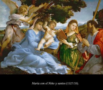 C6 Lorenzo Lotto 07