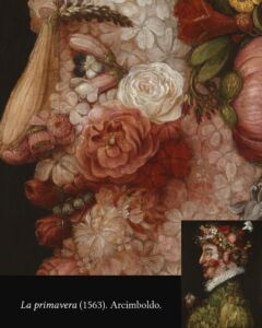 OP Arcimboldo 01