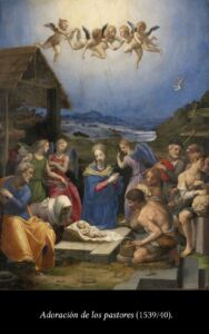 C6 Bronzino 00