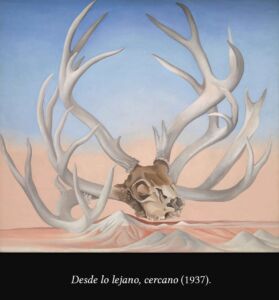 C6 Georgia O'Keeffe calaveras y flores 04 b