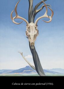 C6 Georgia O'Keeffe calaveras y flores 05
