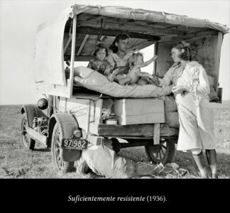 F6 Dorothea Lange 06