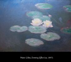 C6 Monet's Water Lilies 04