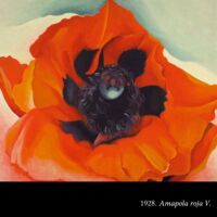 GT Georgia O'Keeffe 40