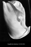 F6 Imogen Cunningham 06