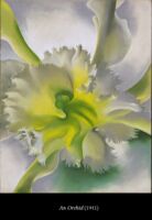 C6 Georgia Flowers 02