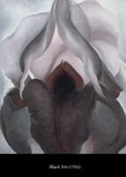 C6 Georgia Flowers 05
