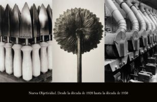 15 Nueva Objetividad